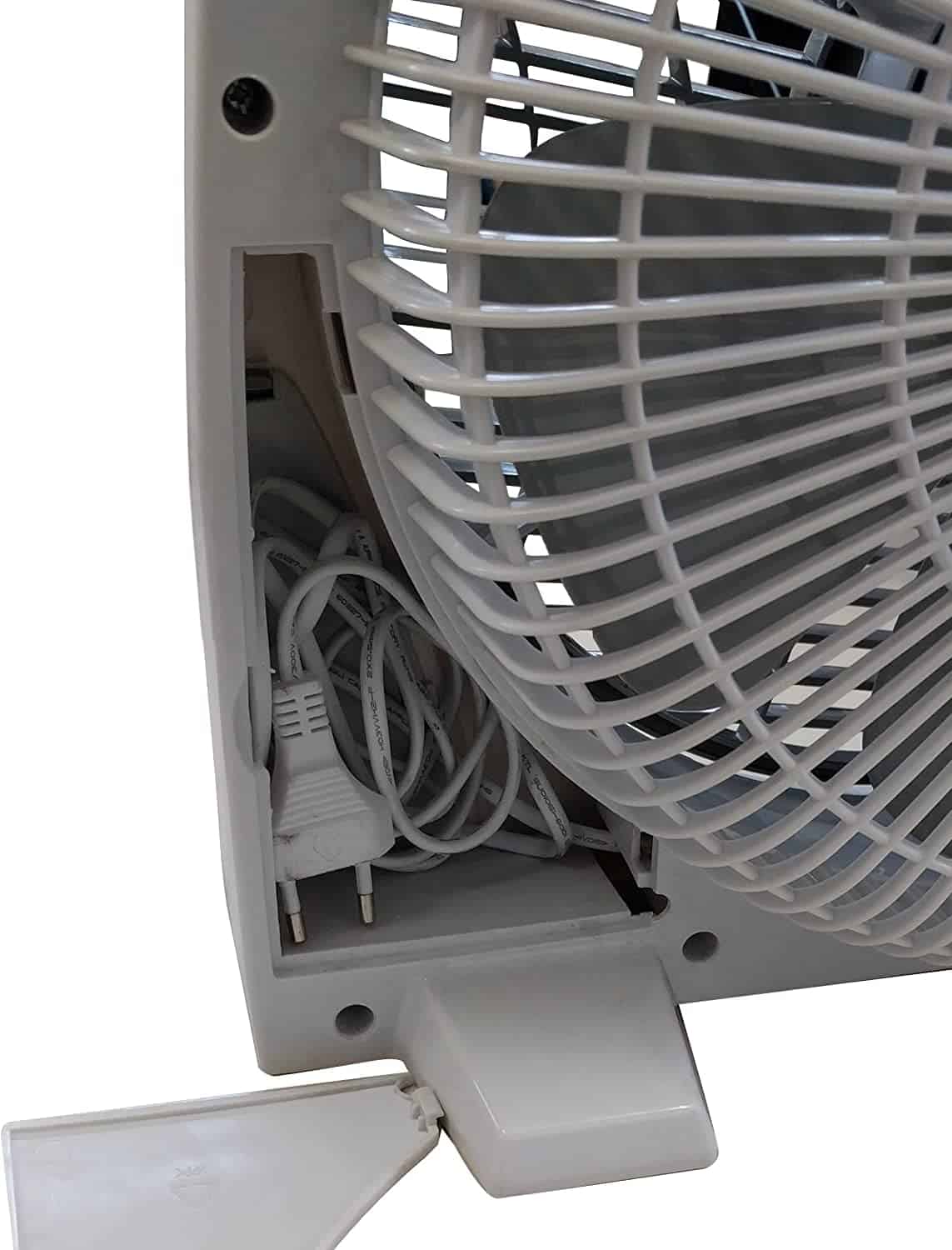 Argo aster - Figura 5